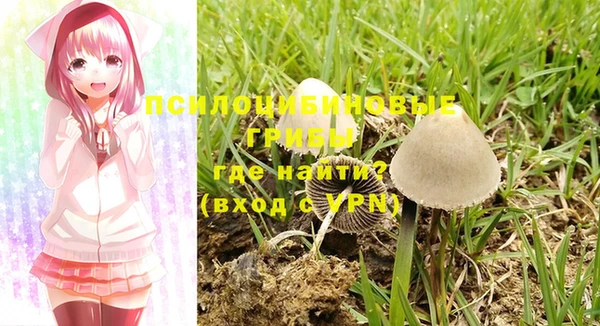 не бодяженный Медвежьегорск